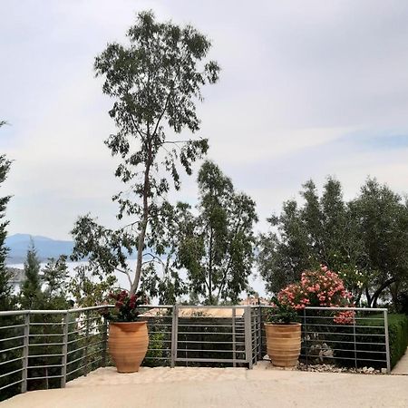 Вилла Stone House In Olive Grove Толон Экстерьер фото
