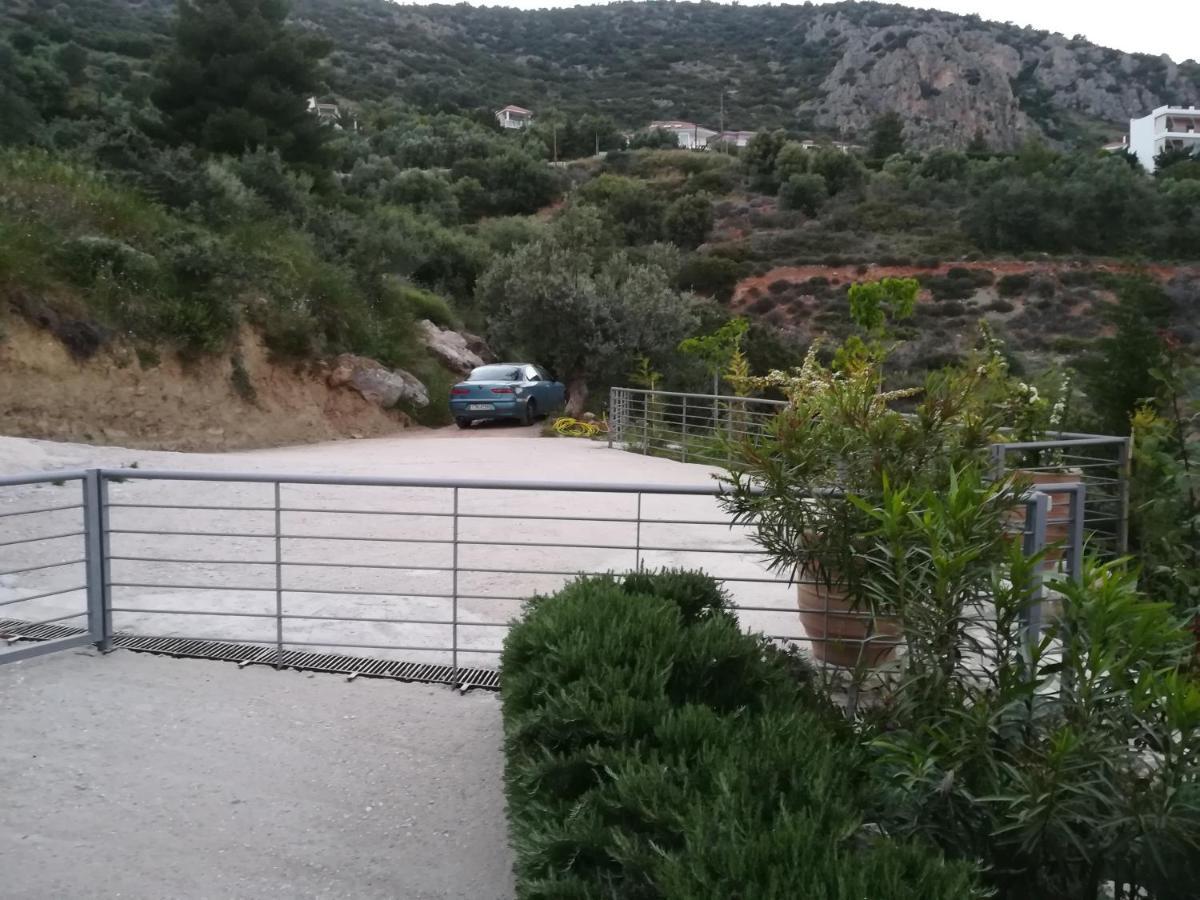 Вилла Stone House In Olive Grove Толон Экстерьер фото