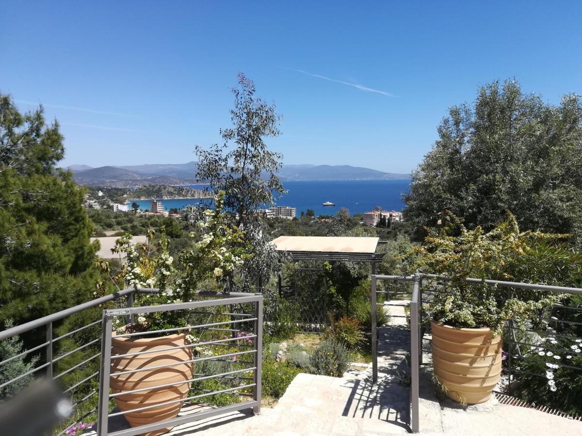 Вилла Stone House In Olive Grove Толон Экстерьер фото