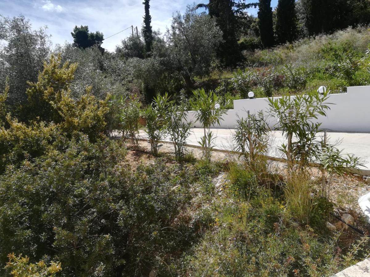 Вилла Stone House In Olive Grove Толон Экстерьер фото