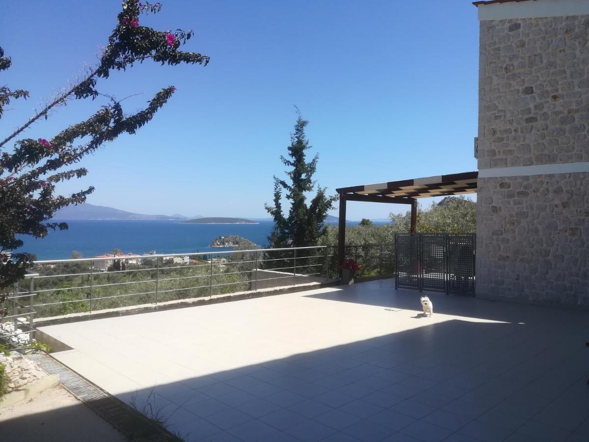 Вилла Stone House In Olive Grove Толон Экстерьер фото