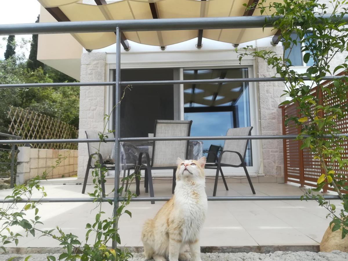 Вилла Stone House In Olive Grove Толон Экстерьер фото