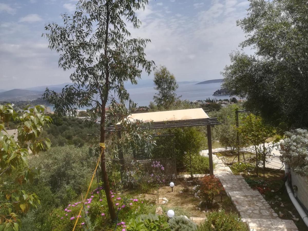 Вилла Stone House In Olive Grove Толон Экстерьер фото