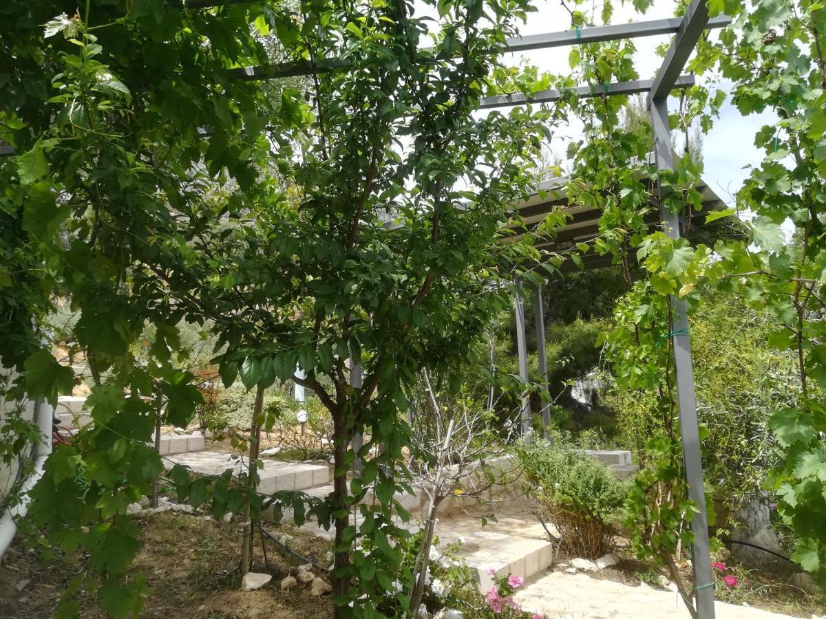 Вилла Stone House In Olive Grove Толон Экстерьер фото