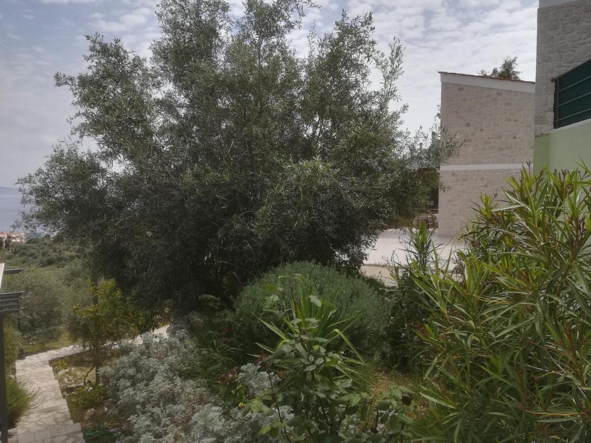 Вилла Stone House In Olive Grove Толон Экстерьер фото