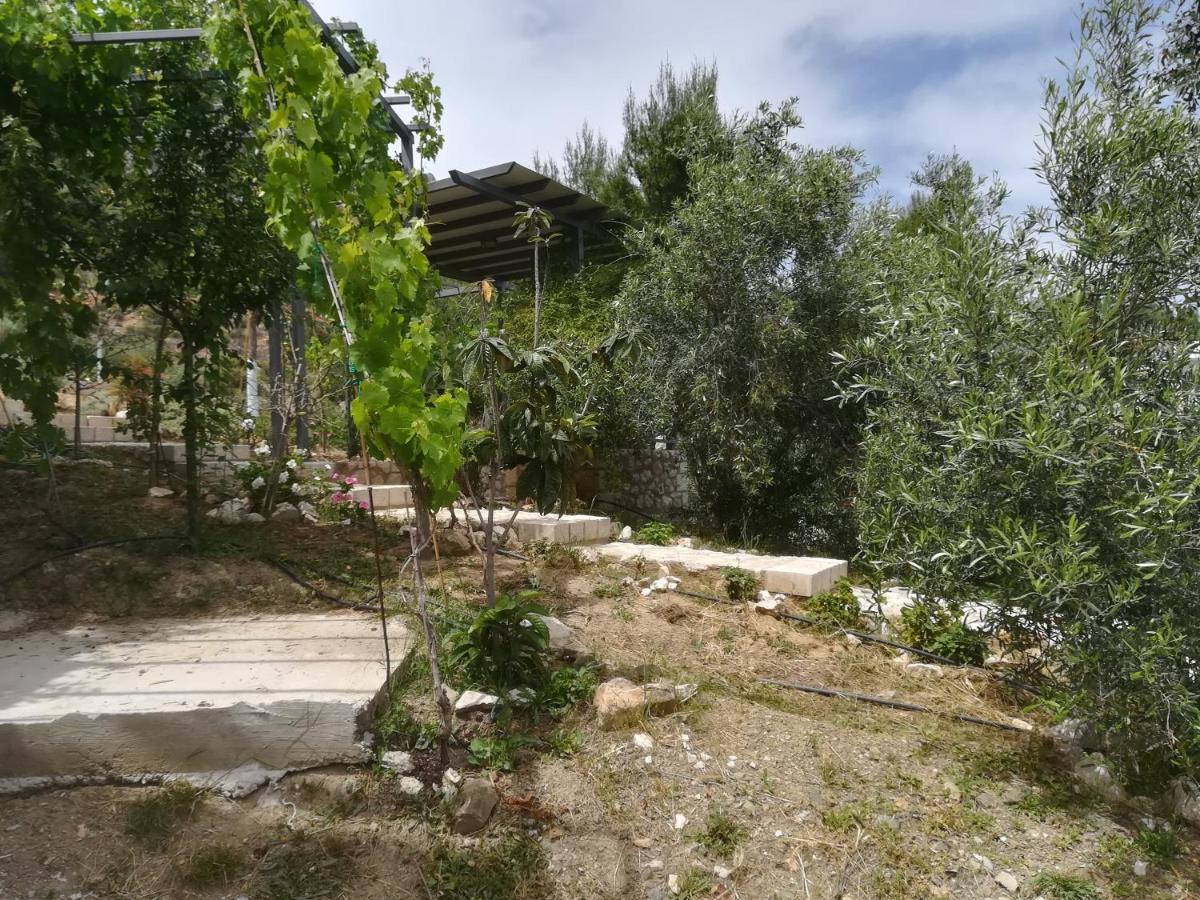 Вилла Stone House In Olive Grove Толон Экстерьер фото