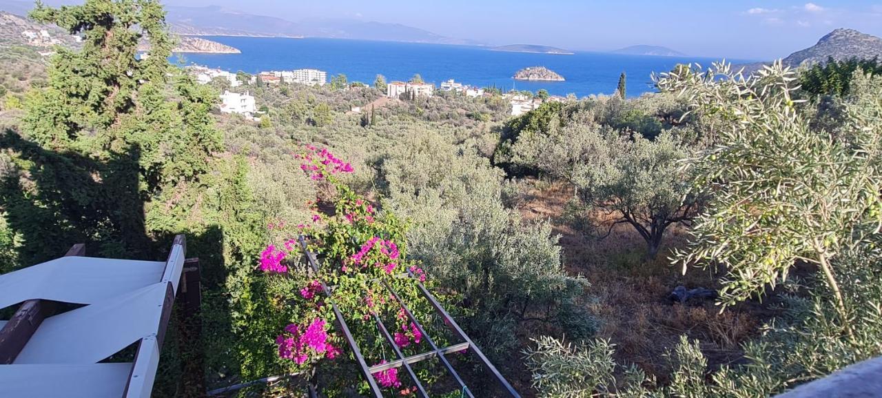 Вилла Stone House In Olive Grove Толон Экстерьер фото