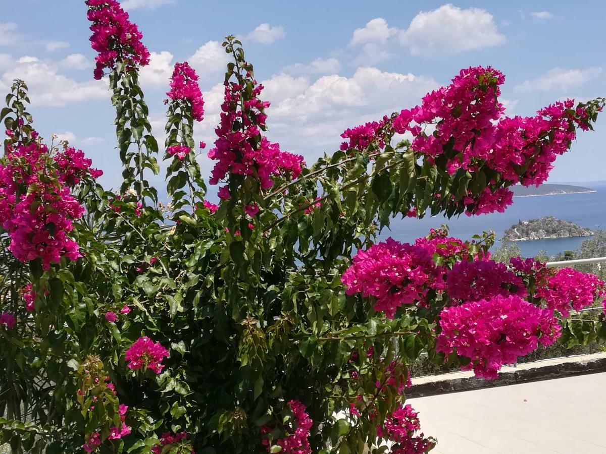 Вилла Stone House In Olive Grove Толон Экстерьер фото