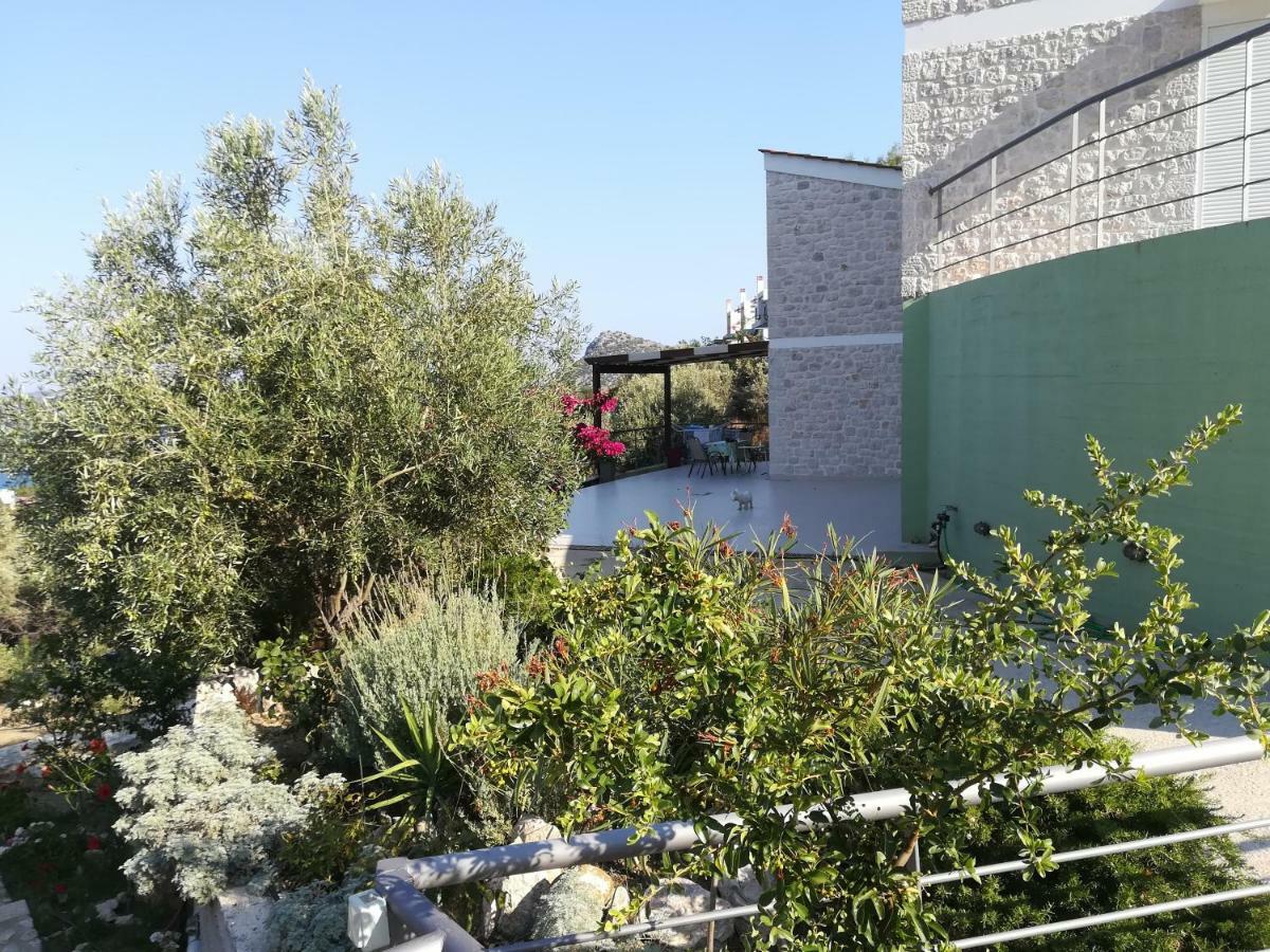 Вилла Stone House In Olive Grove Толон Экстерьер фото