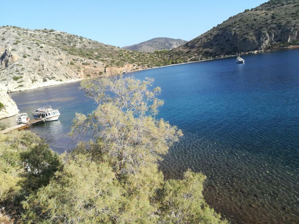 Вилла Stone House In Olive Grove Толон Экстерьер фото