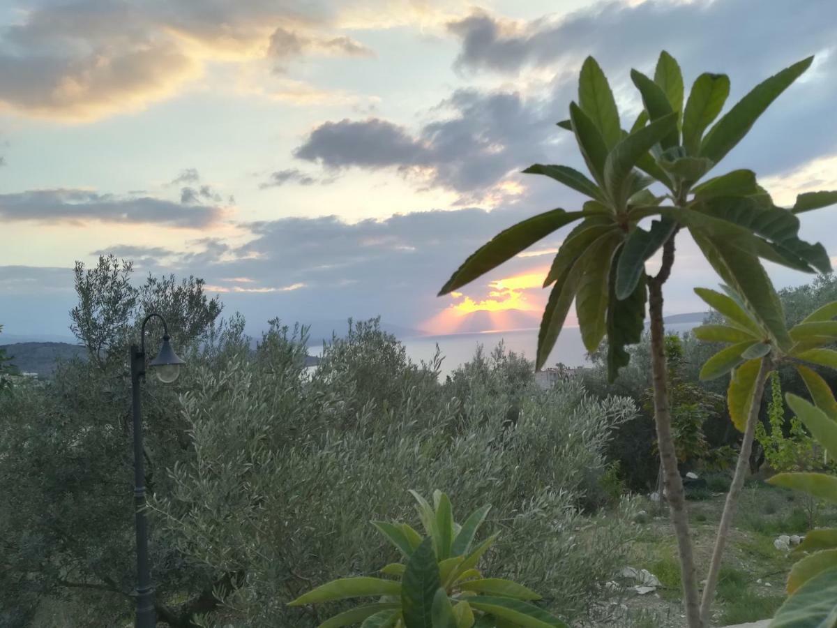 Вилла Stone House In Olive Grove Толон Экстерьер фото