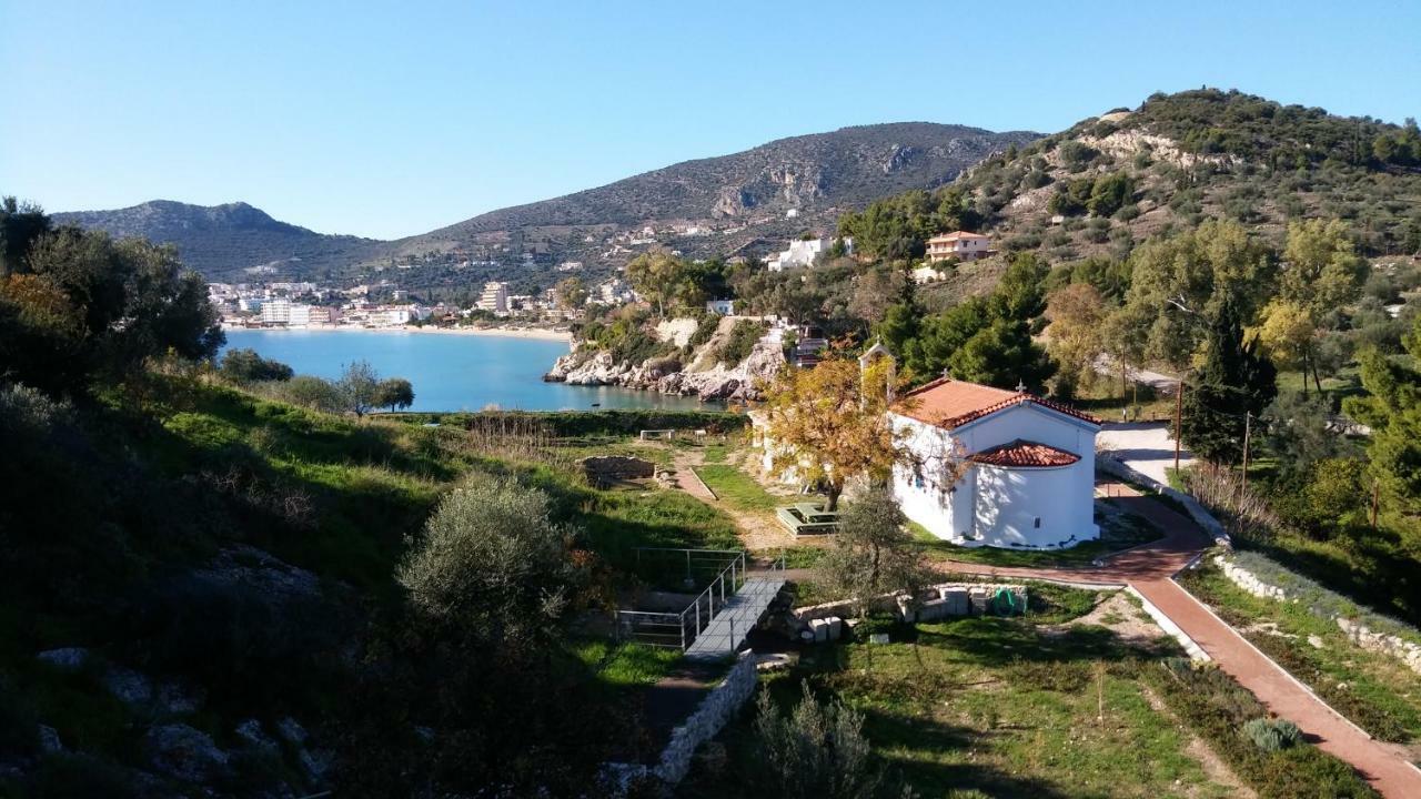 Вилла Stone House In Olive Grove Толон Экстерьер фото