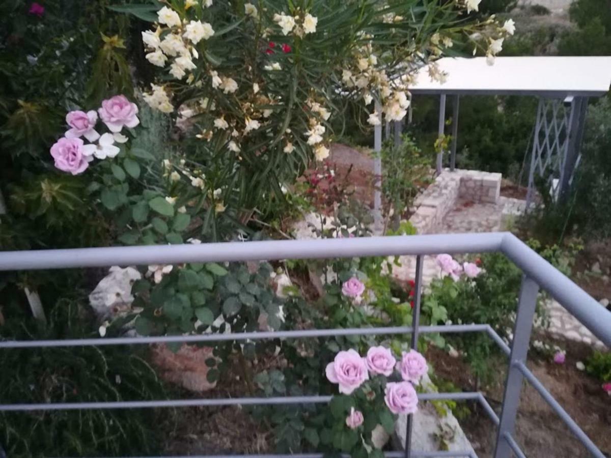 Вилла Stone House In Olive Grove Толон Экстерьер фото